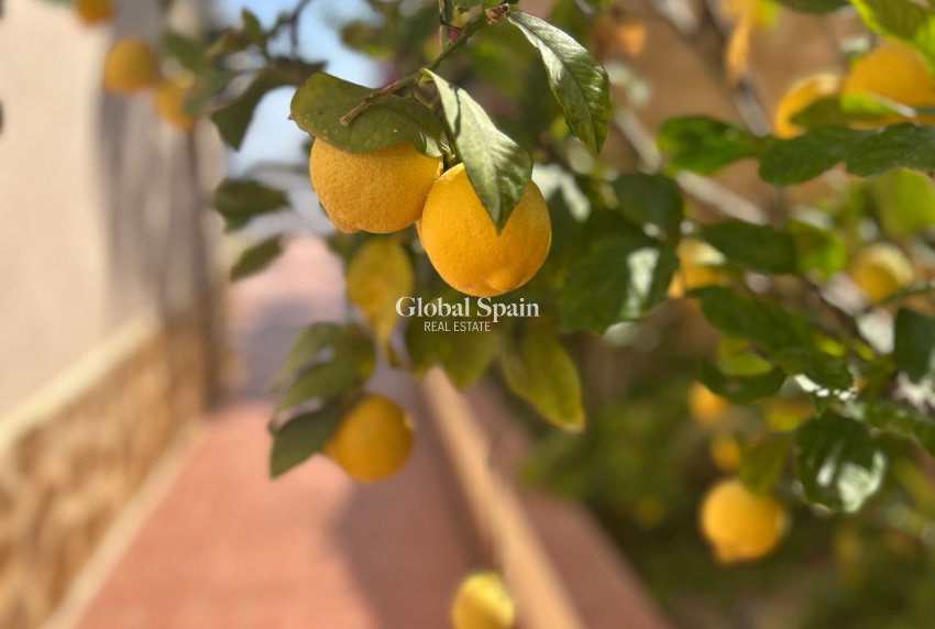 Revente - VILLA -
ALGORFA - Inland