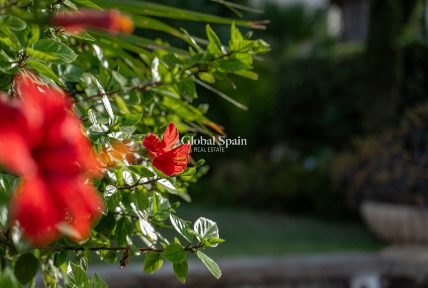 Revente - VILLA -
ALICANTE - Costa Blanca