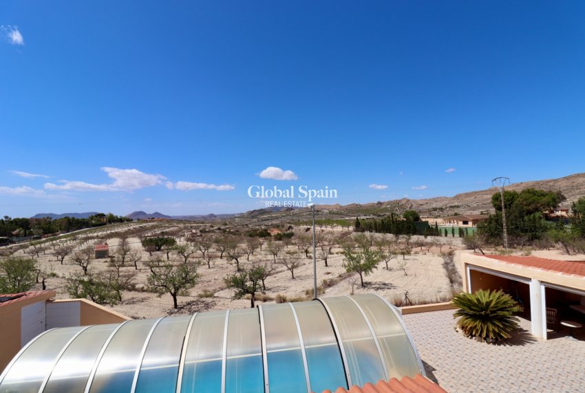 Revente - Villa -
ALICANTE - San Vicente del Raspeig