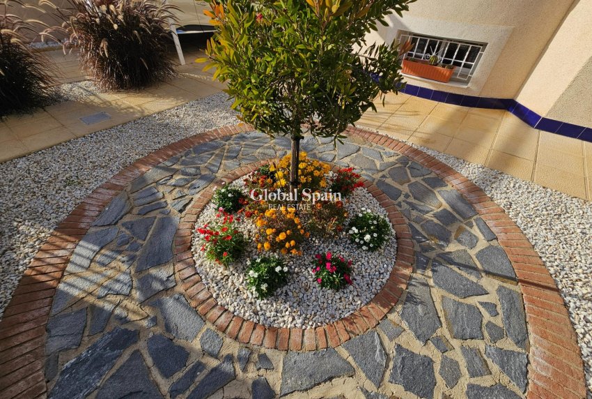 Revente - VILLA -
BENIJÓFAR - Benimar 3