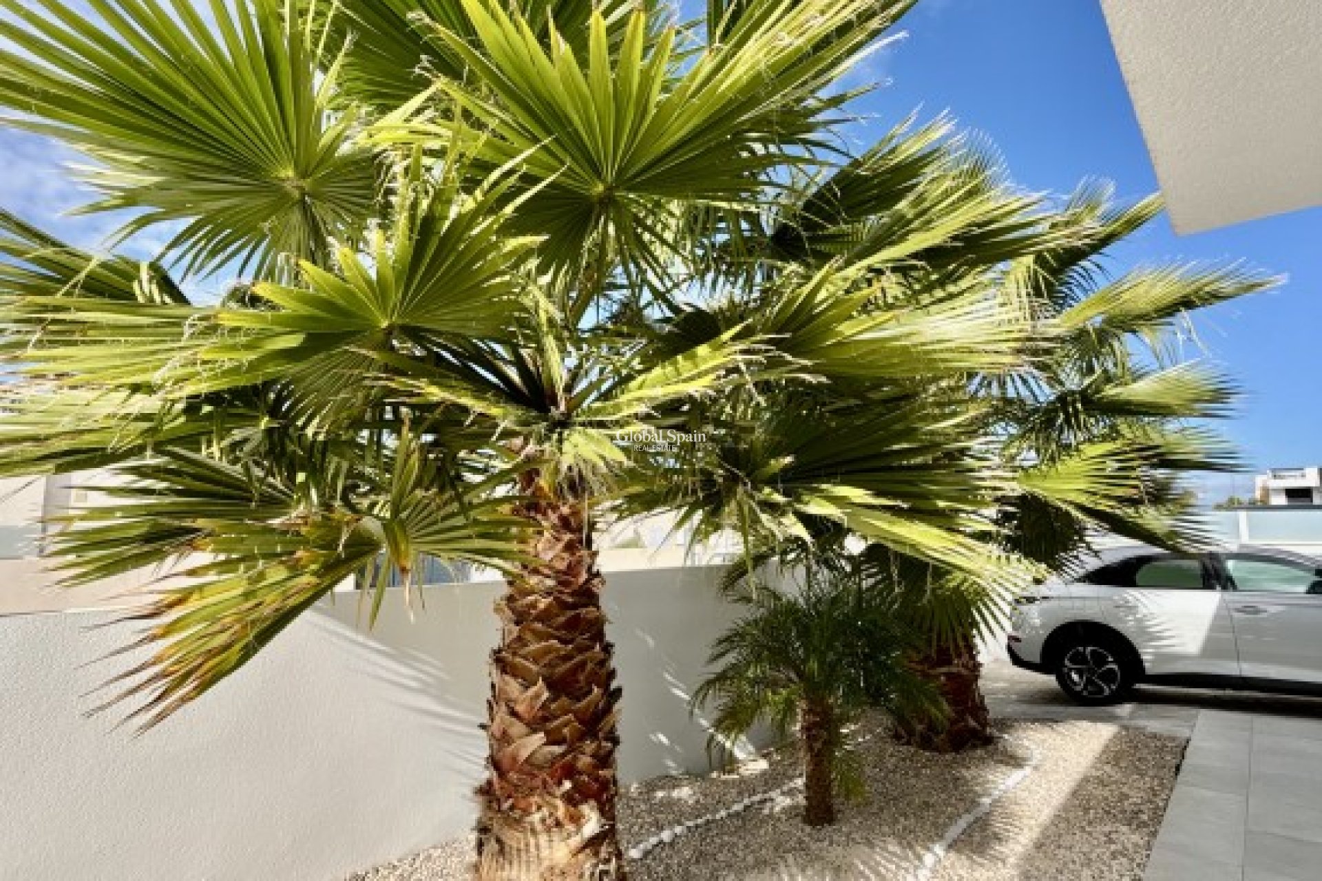 Revente - VILLA -
BENIJÓFAR - Costa Blanca