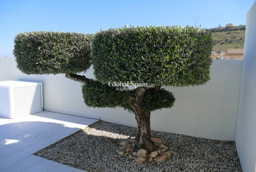 Revente - VILLA -
BENIJÓFAR - Costa Blanca