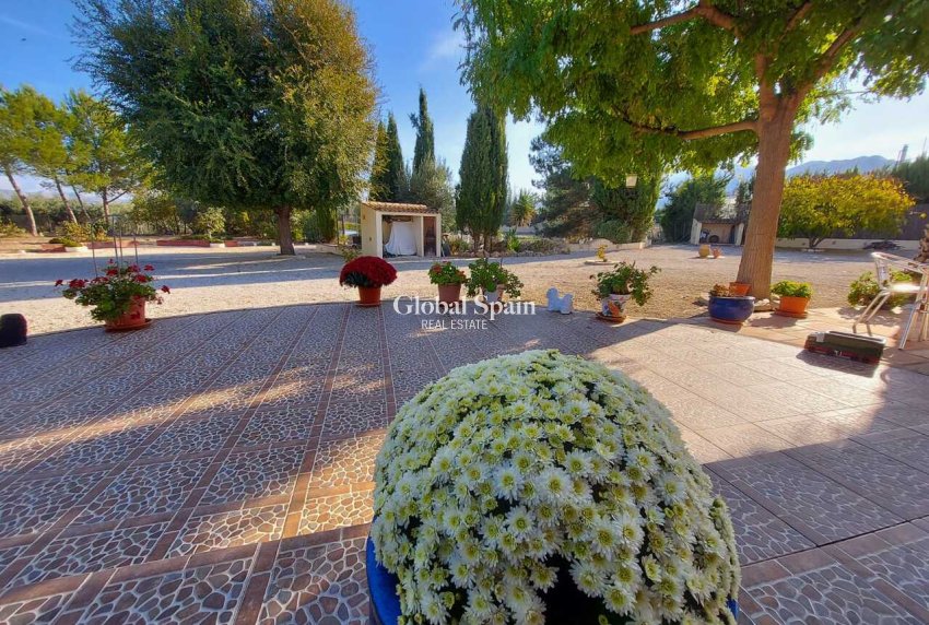 Revente - VILLA -
CALASPARRA - Inland