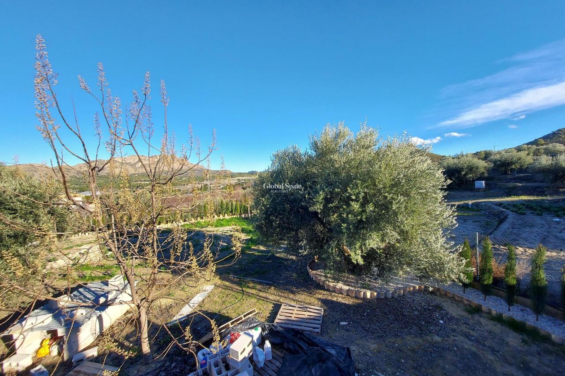 Revente - VILLA -
CALASPARRA - Inland