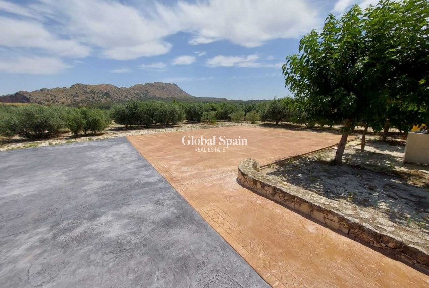 Revente - VILLA -
CALASPARRA - Inland