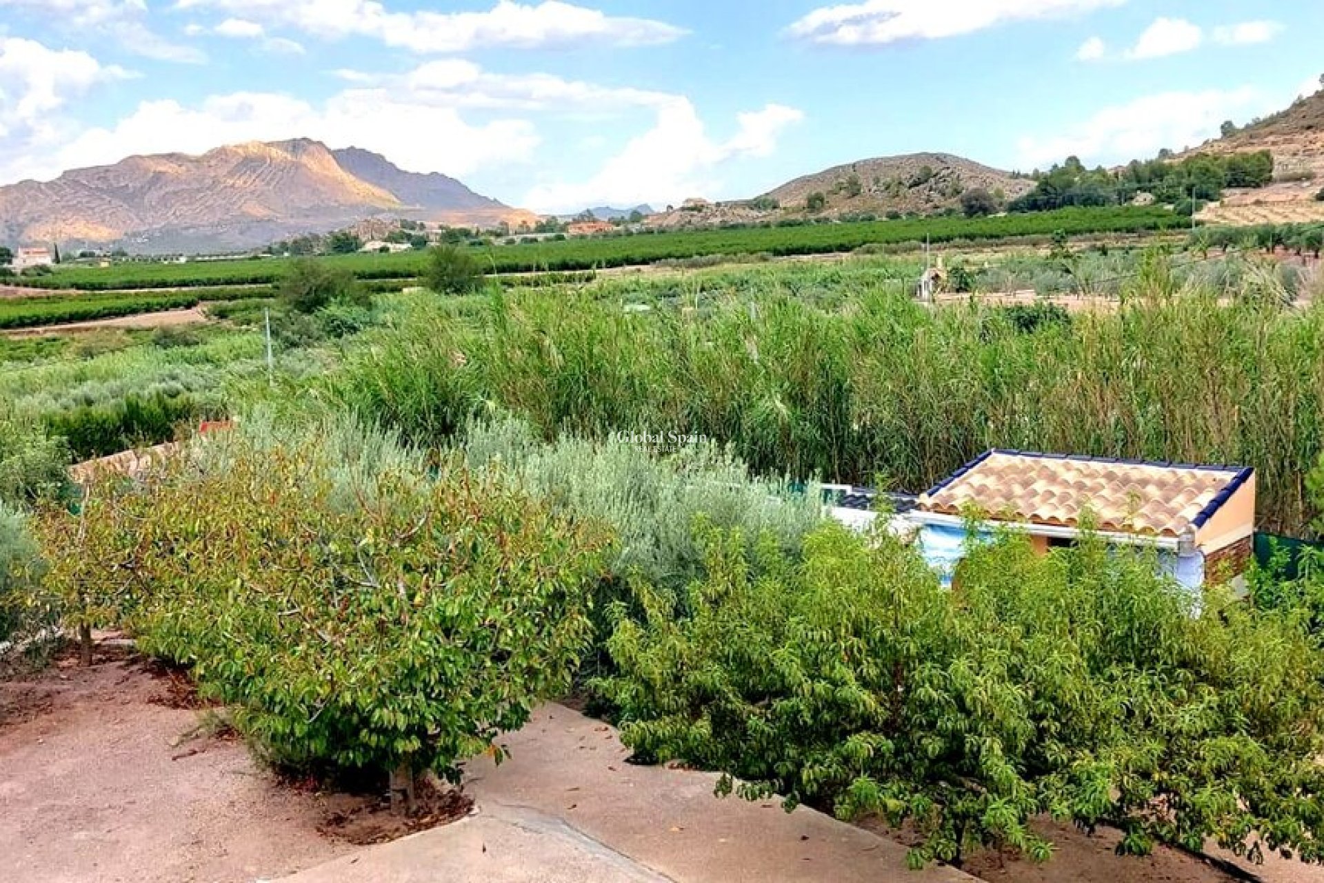 Revente - VILLA -
CALASPARRA - Inland