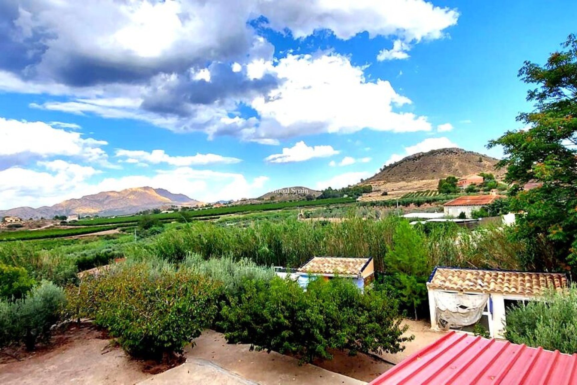 Revente - VILLA -
CALASPARRA - Inland