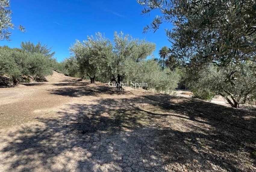 Revente - VILLA -
CALASPARRA - Inland