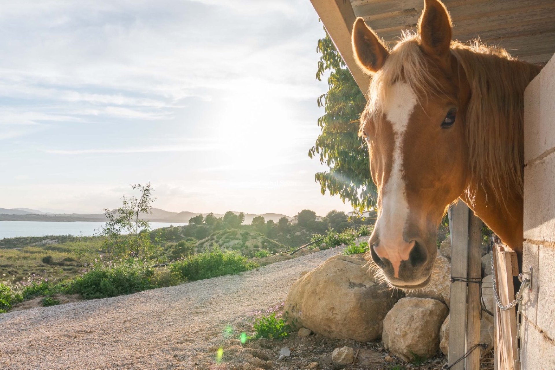 Revente - Villa -
Costa Blanca - Orihuela Costa