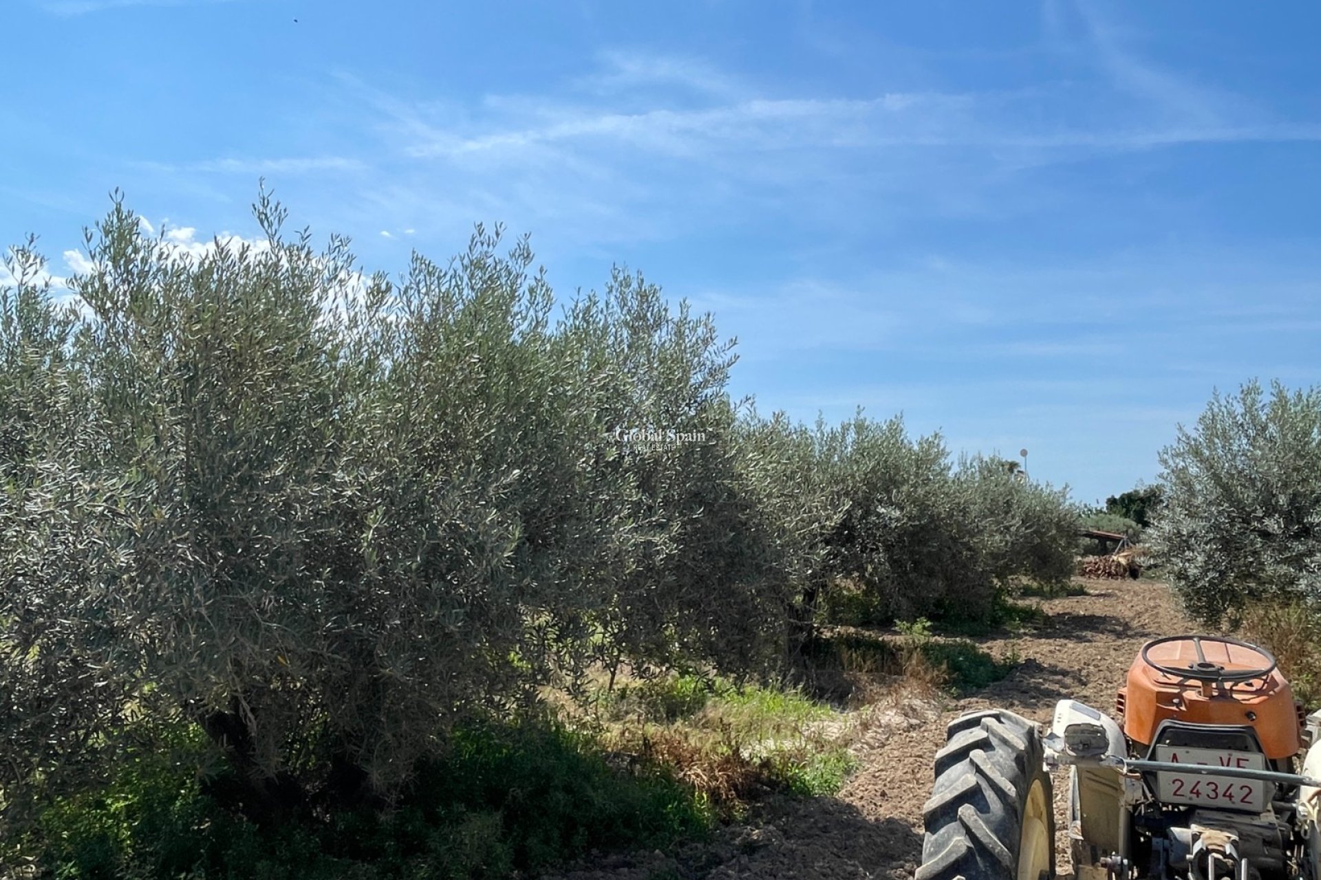 Revente - VILLA -
CREVILLENTE - Inland