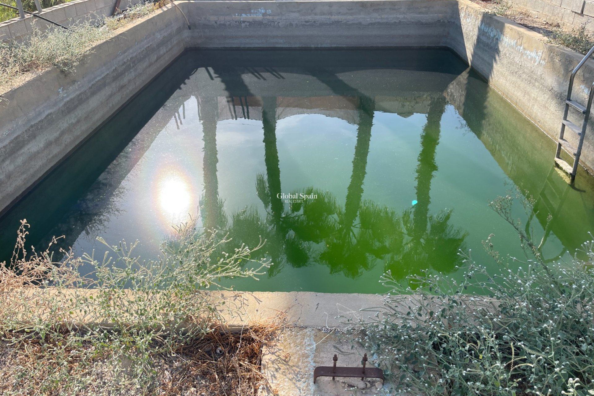 Revente - VILLA -
CREVILLENTE - Inland