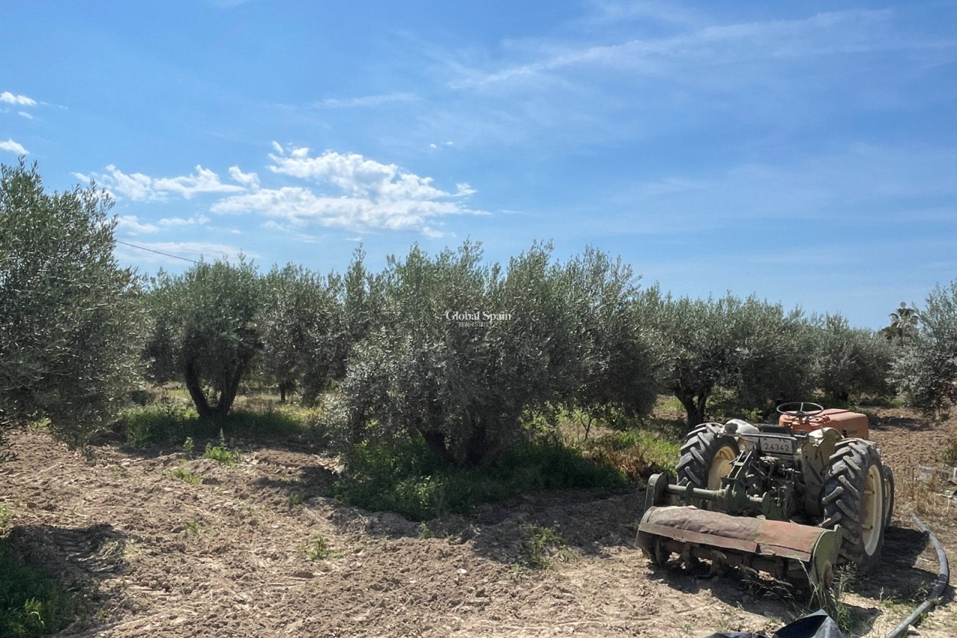 Revente - VILLA -
CREVILLENTE - Inland