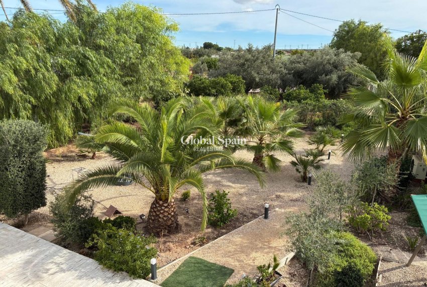Revente - VILLA -
CREVILLENTE