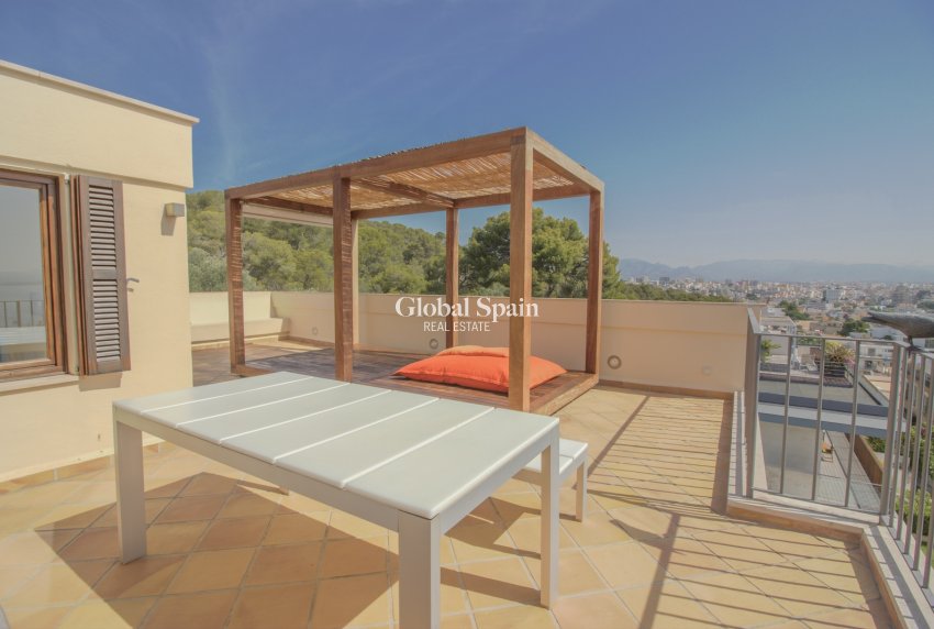 Revente - Villa -
El Terreno - optional location detail