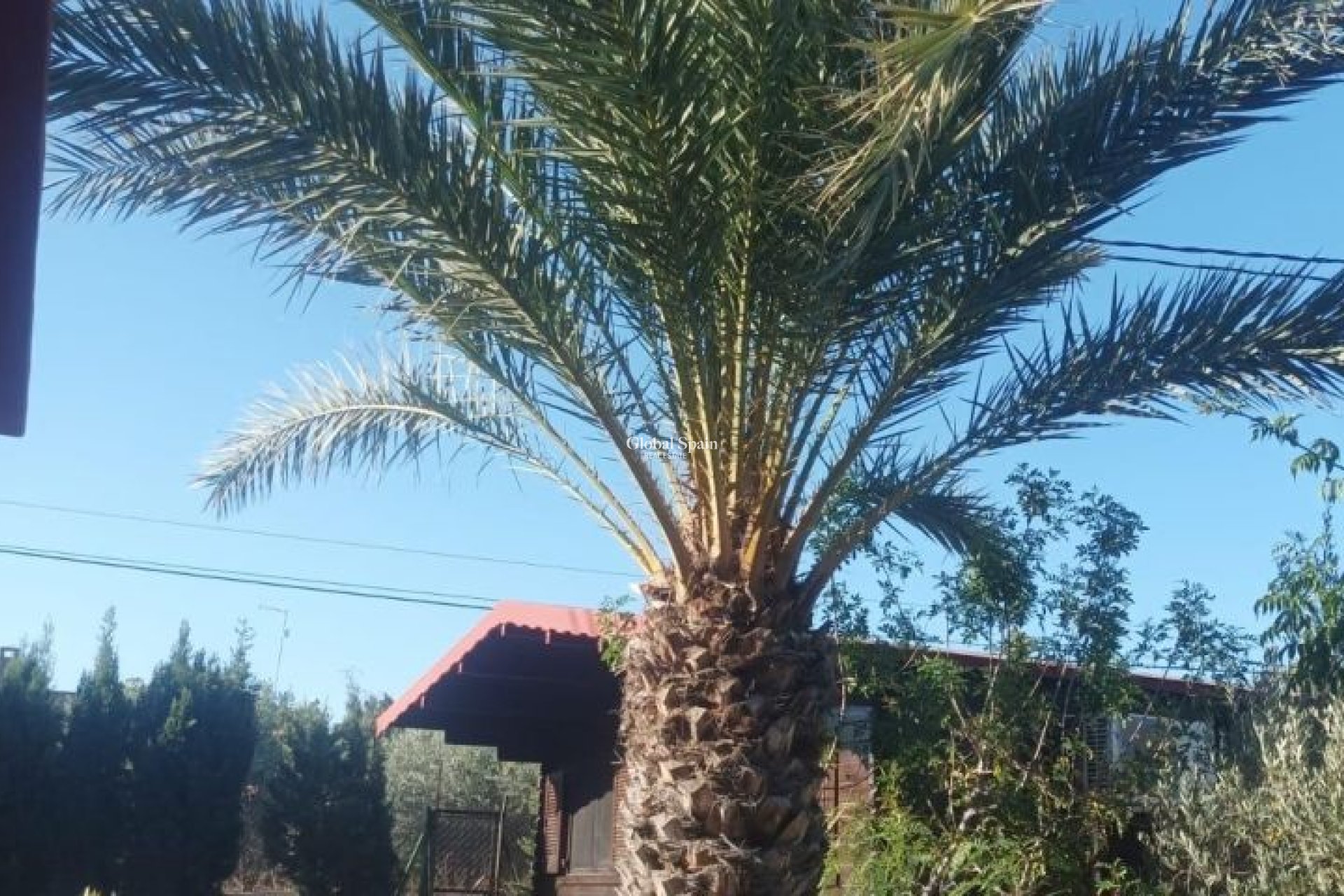 Revente - VILLA -
ELCHE - Costa Blanca