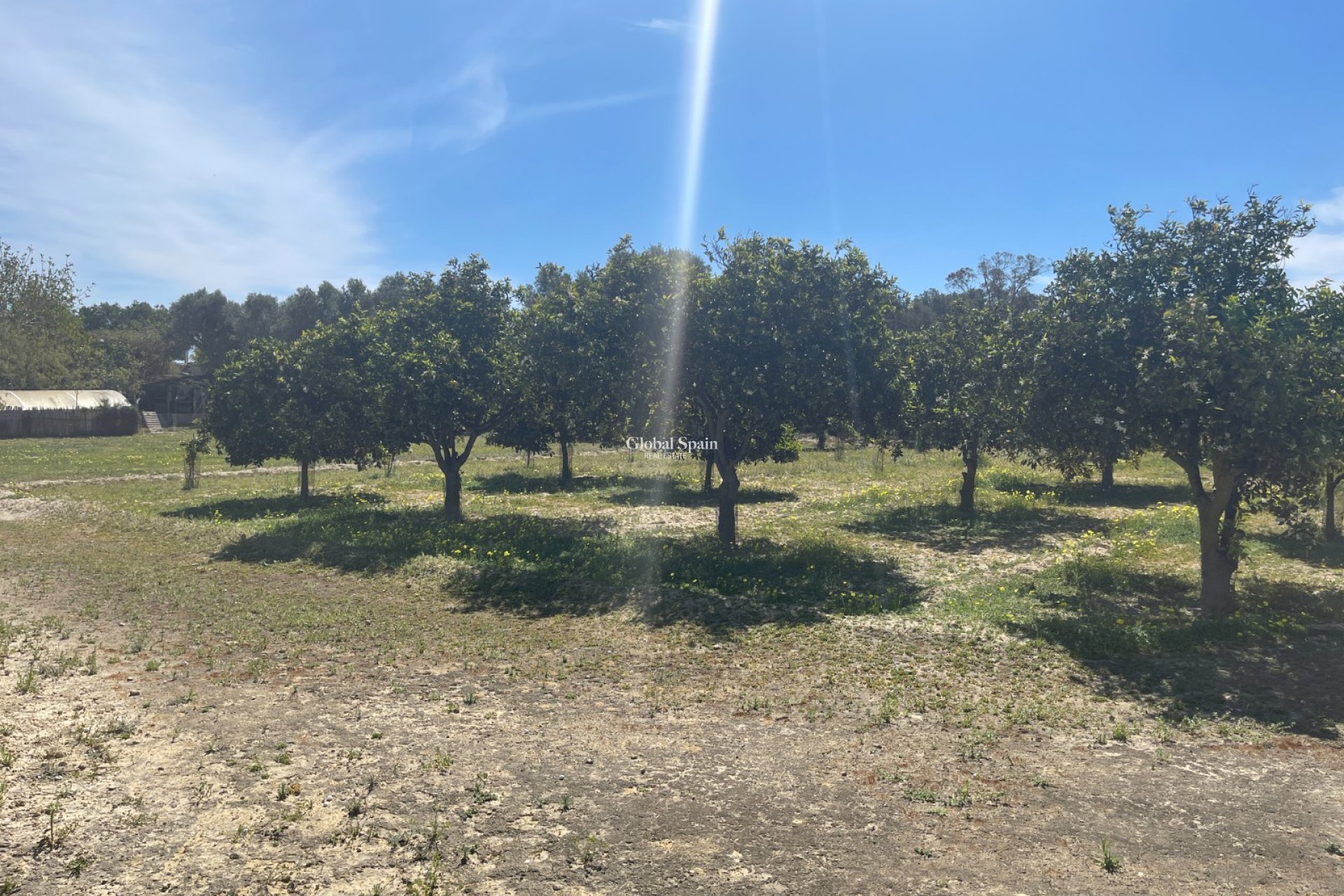 Revente - VILLA -
GUARDAMAR DEL SEGURA - Costa Blanca