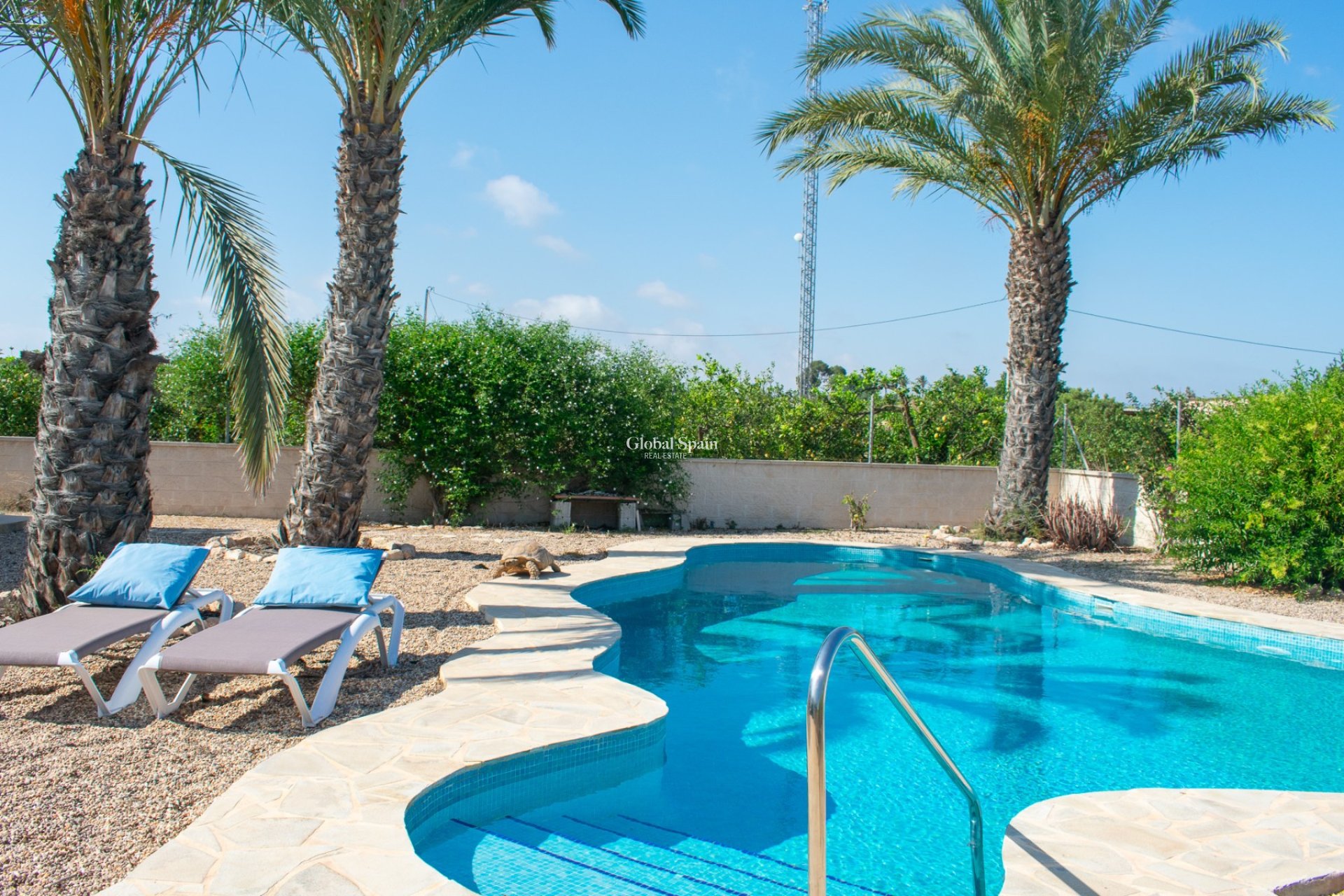 Revente - VILLA -
GUARDAMAR DEL SEGURA - EL RASO