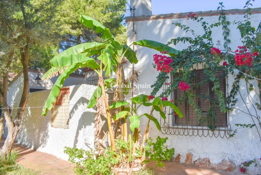 Revente - Villa indépendante -
ORIHUELA COSTA - Punta Prima