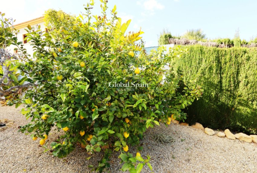 Revente - VILLA -
LA NUCÍA - Costa Blanca