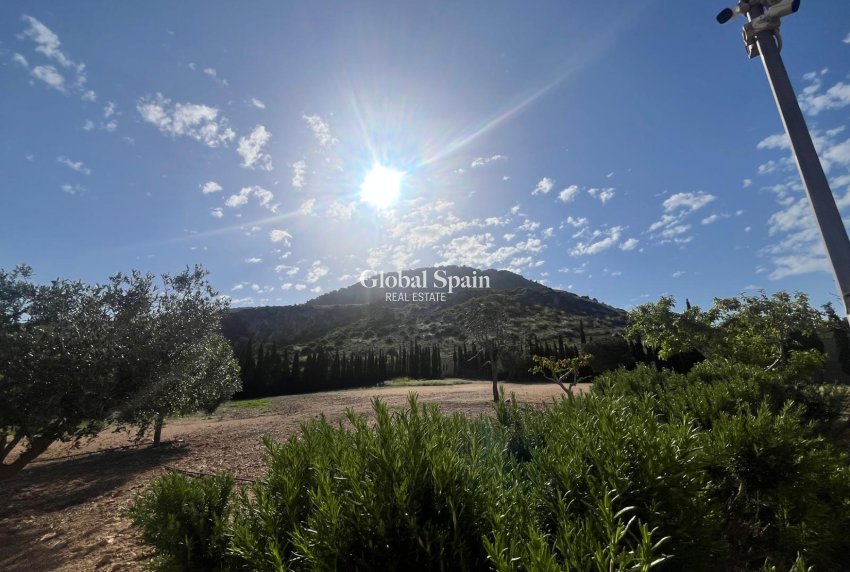 Revente - VILLA -
LOS BELONES - Inland