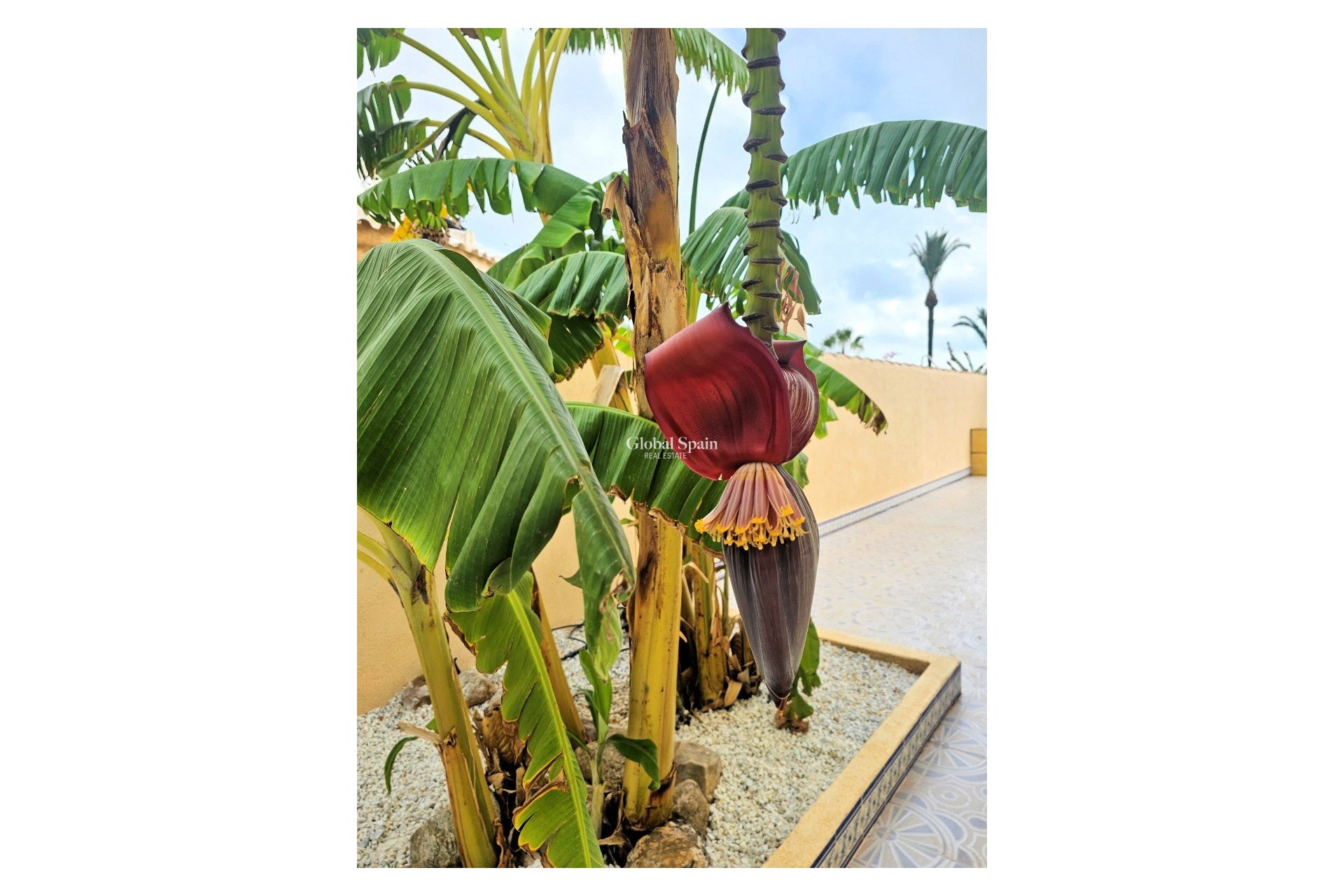 Revente - Villa -
Los Urrutias  - Estrella de Mar