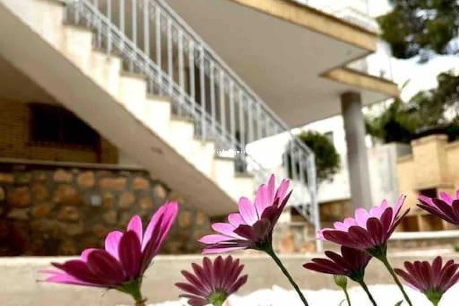 Revente - VILLA -
ORIHUELA COSTA - CAMPOAMOR