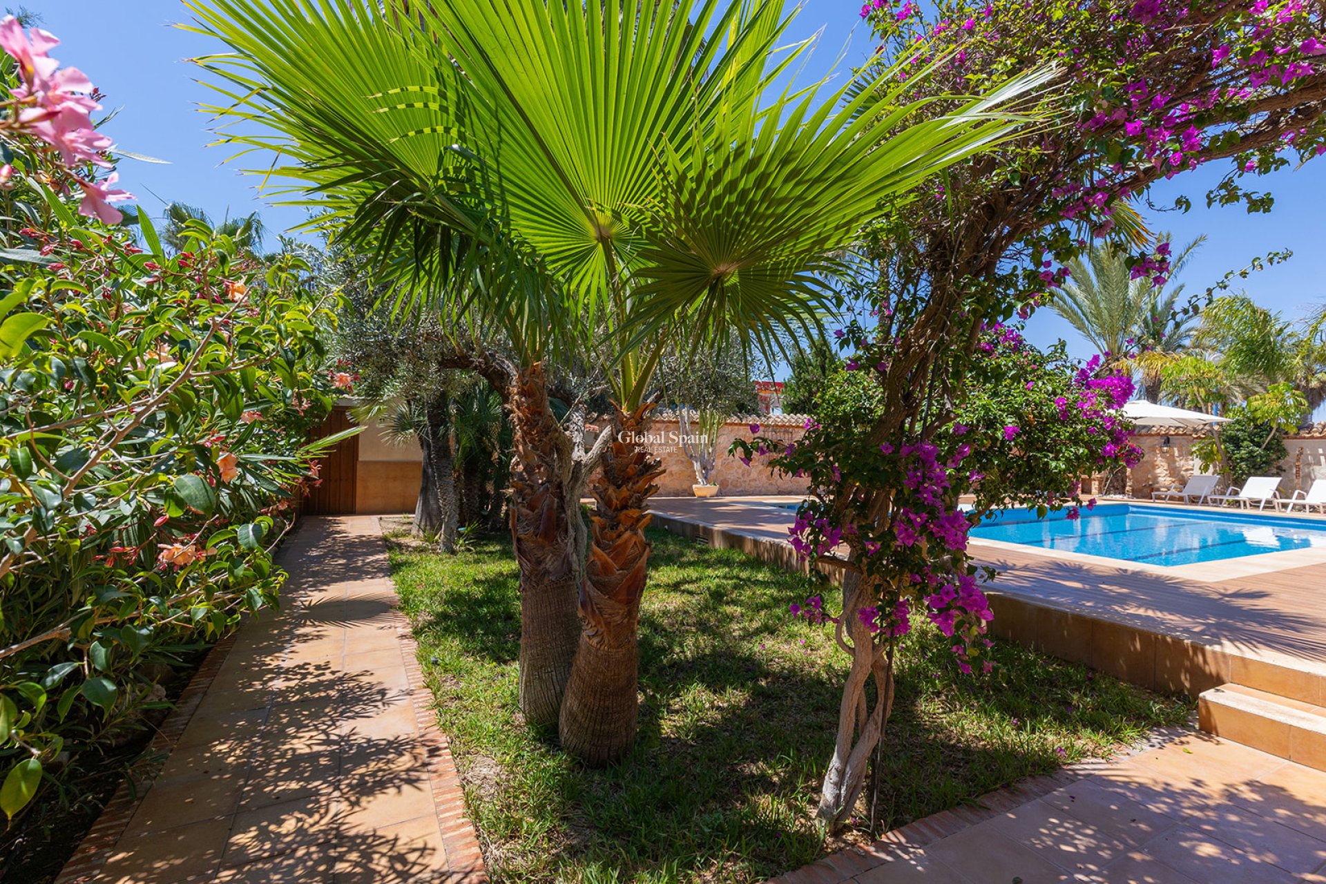 Revente - Villa -
ORIHUELA COSTA - Punta Prima