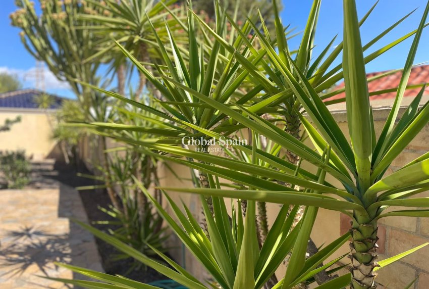 Revente - Villa -
ORIHUELA COSTA - VILLAMARTÍN