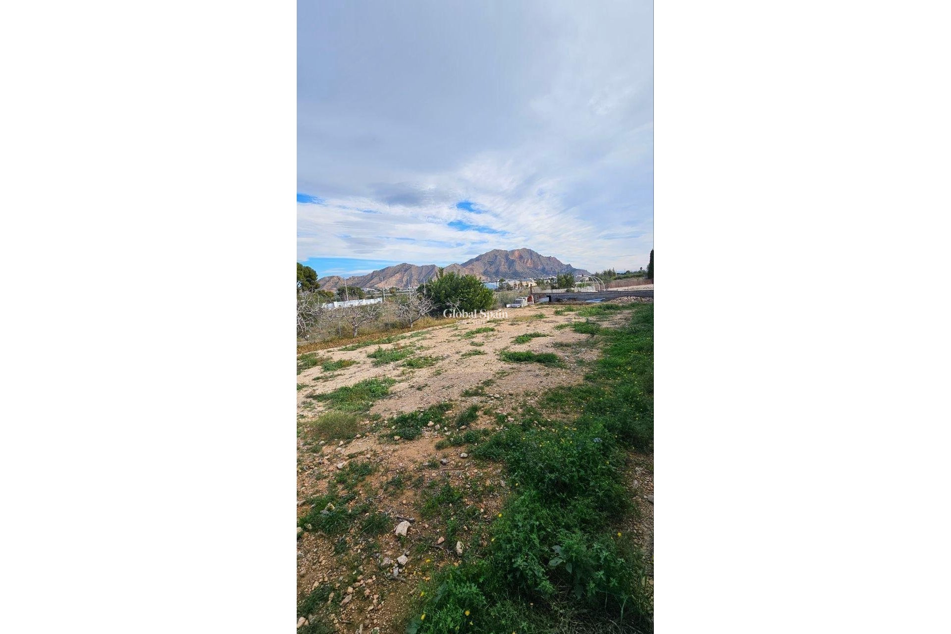 Revente - VILLA -
ORIHUELA - Urb. Montepinar