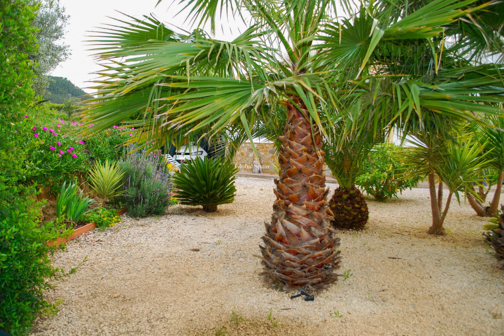 Revente - VILLA -
PLIEGO - Inland