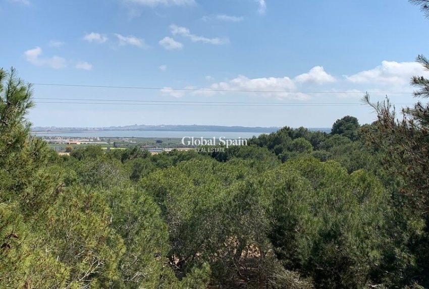 Revente - VILLA -
ROJALES - Ciudad Quesada