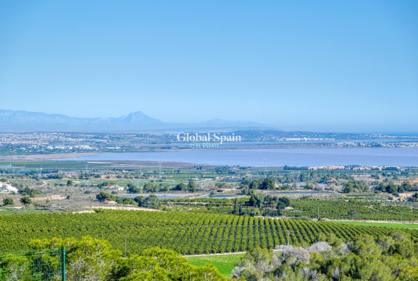 Revente - VILLA -
SAN MIGUEL DE SALINAS - Inland