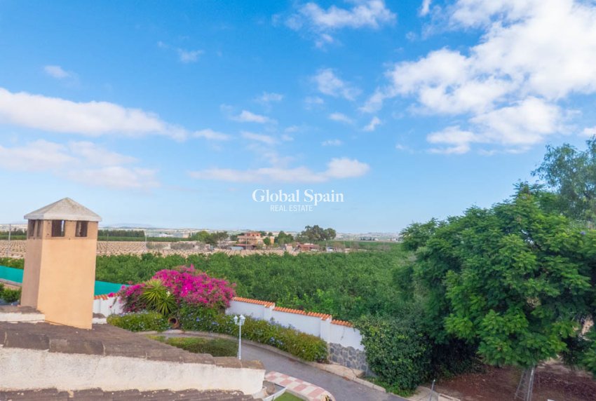 Revente - VILLA -
SAN MIGUEL DE SALINAS - Inland