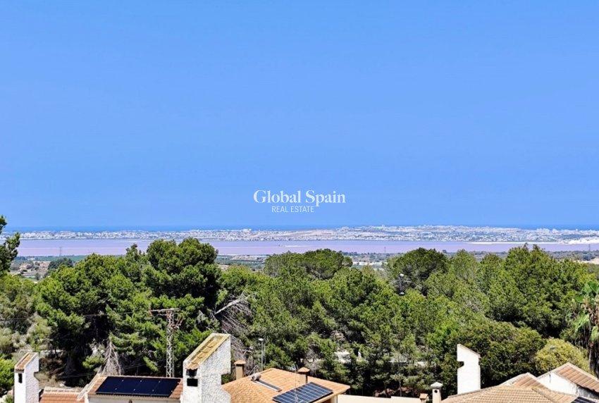 Revente - VILLA -
SAN MIGUEL DE SALINAS - Inland