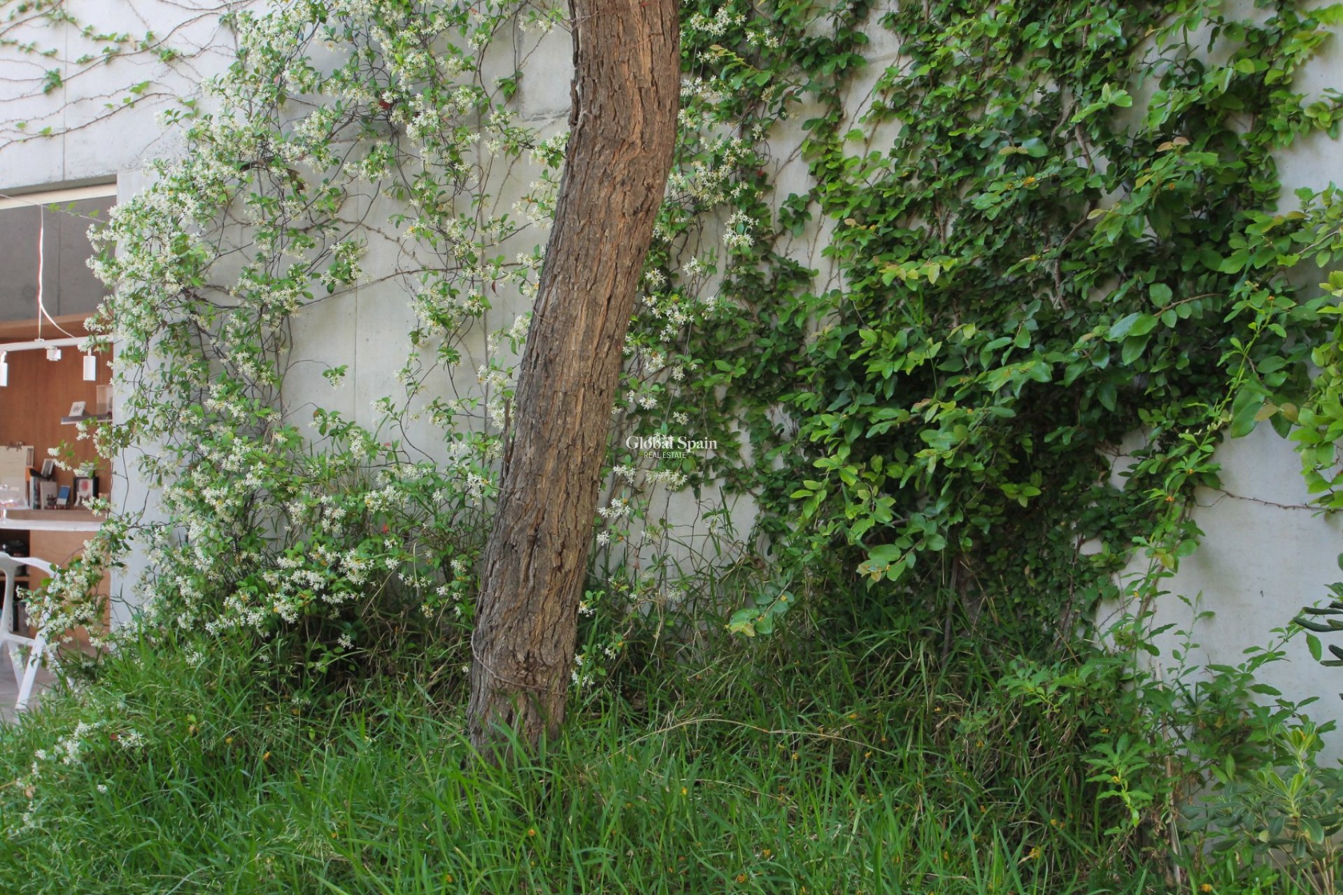 Revente - VILLA -
San Vicente del Raspeig - Inland