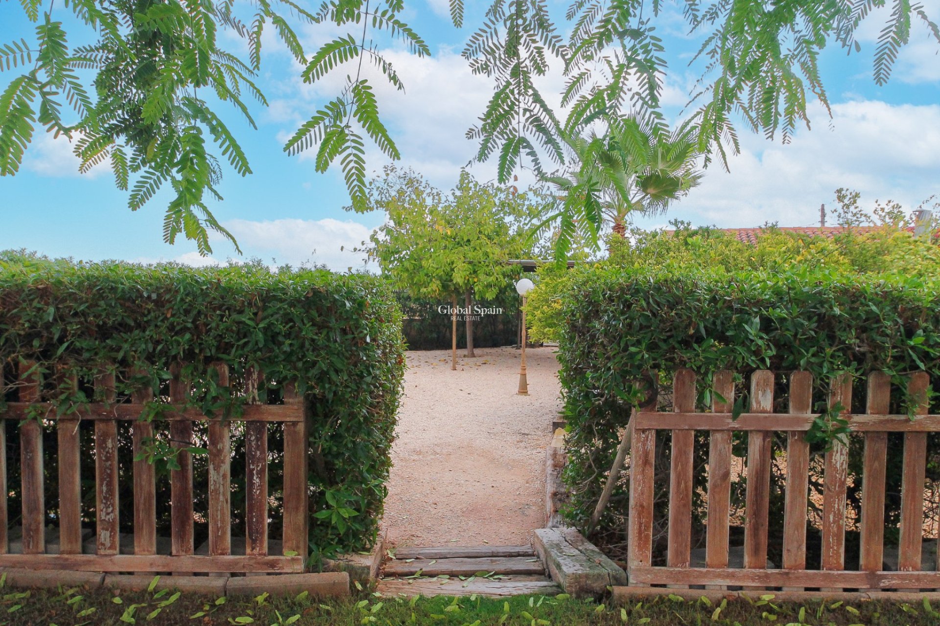 Revente - VILLA -
SAN VICENTE DEL RASPEIG - Inland