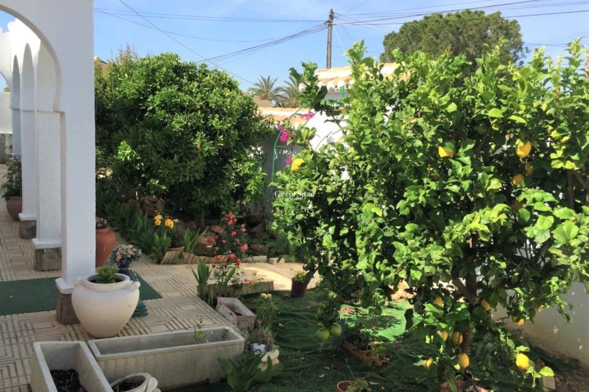 Revente - VILLA -
TORREVIEJA - Costa Blanca