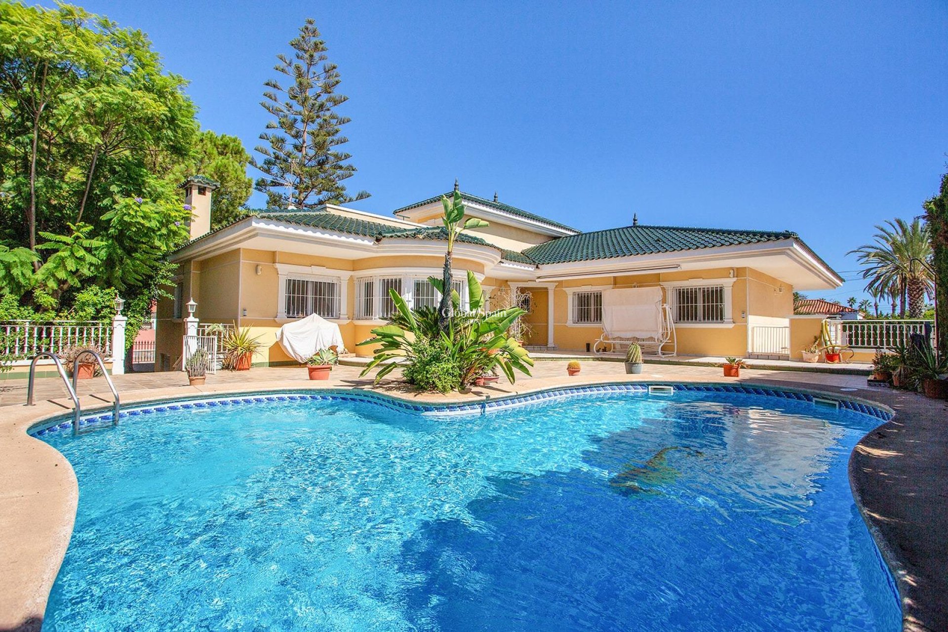 Revente - Villa -
TORREVIEJA - Torreta florida