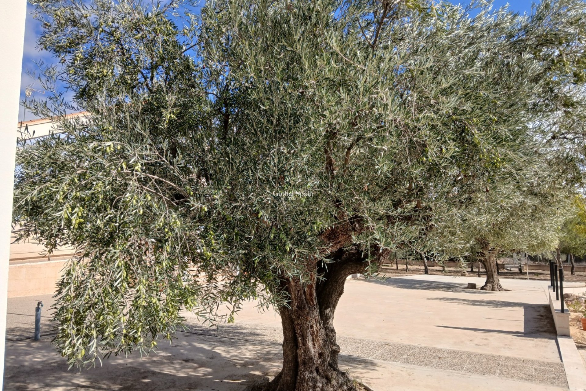 Revente - VILLA -
YECLA - Inland