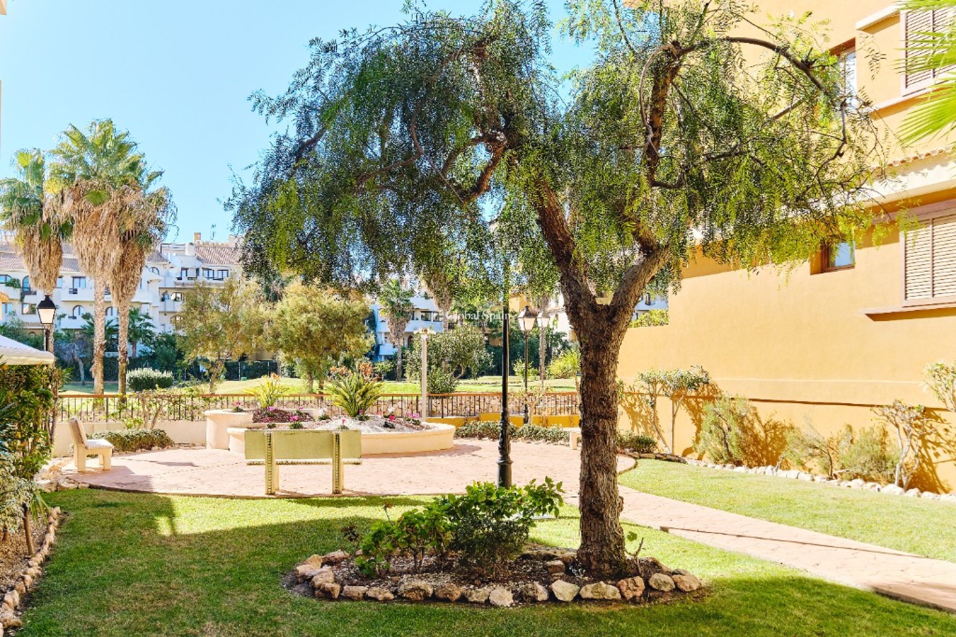 Short Term Rental - Apartment -
PUNTA PRIMA - La Entrada