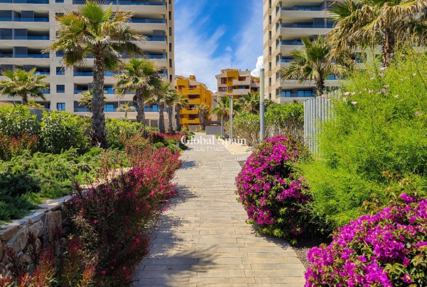 Short Term Rental - Apartment -
PUNTA PRIMA - Panorama Mar