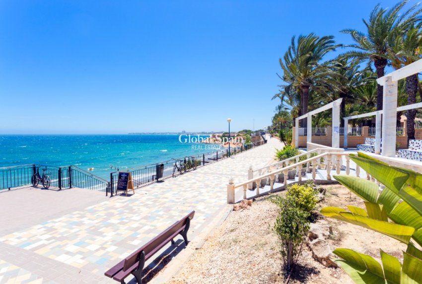 Short Term Rental - Apartment -
PUNTA PRIMA - Panorama Mar