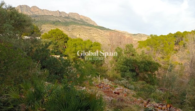 Terrain / Terrain - Revente - ALTEA -
                ALTEA