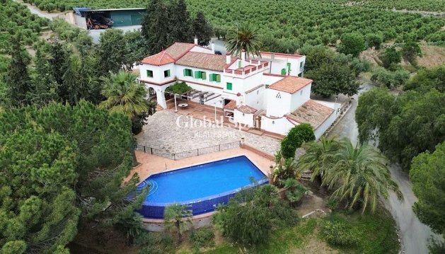 Terreno campestre - Venta - MURCIA -
                Rincón de Seca