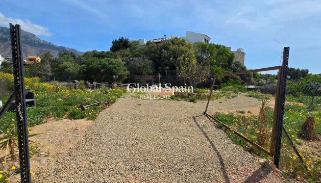 TERRENO - Venta - ALTEA -
                Olla Altea