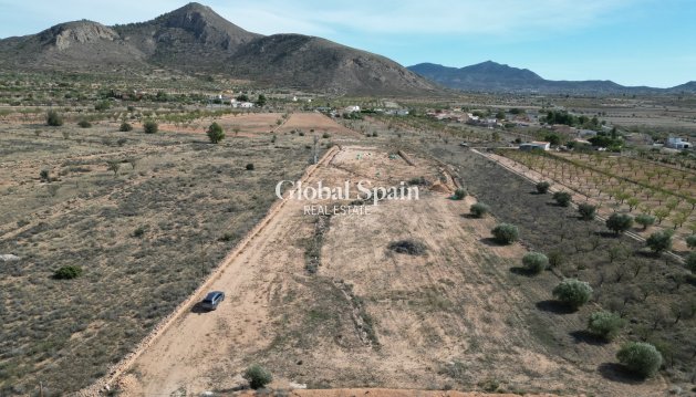 TERRENO - Venta - BARBARROJA -
                Barbarroja