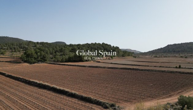 TERRENO - Venta - PINOSO -
                Pinoso