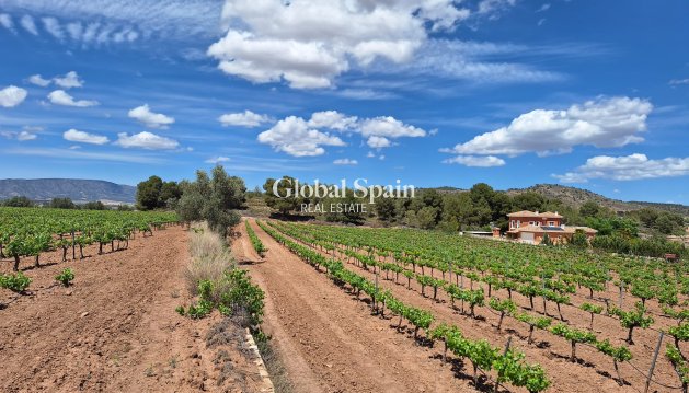 TERRENO - Venta - PINOSO -
                Pinoso
