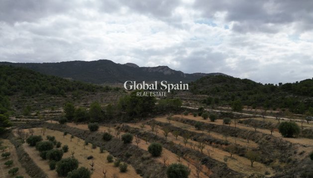 Tierra - Venta - La Zarza -
                La Zarza