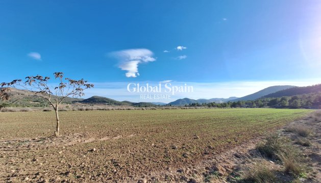 Tierra - Venta - Monovar -
                Monovar